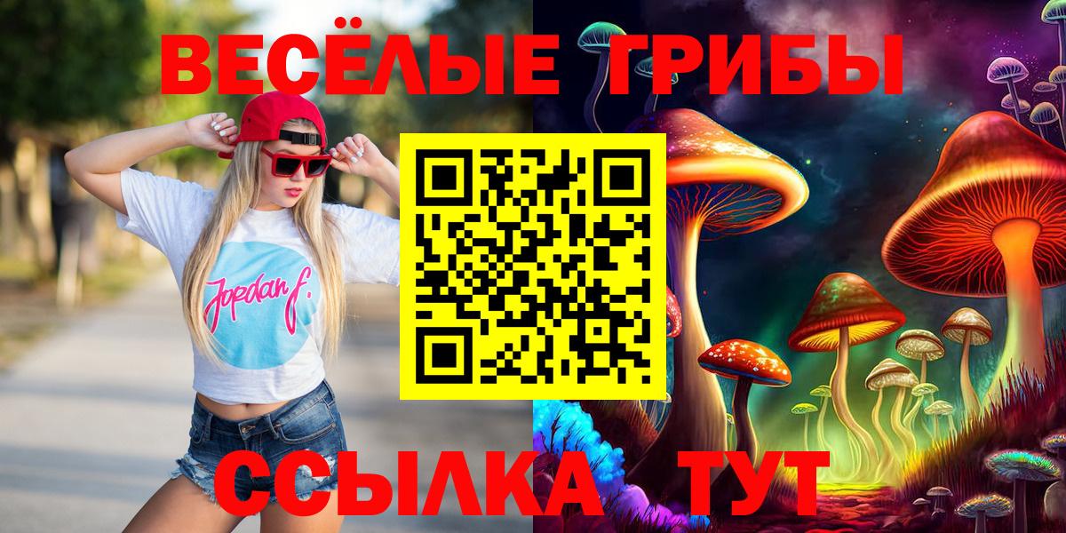 Псилоцибиновые грибы Cubensis  Псилоцибиновые грибы прущие грибы  Вход с VPN  Усть-Илимск 